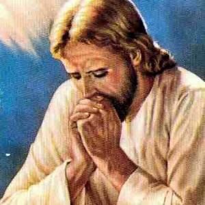 Meet your Posher, Janeth